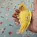 Lovebird tame baby handfeed full ..close ring